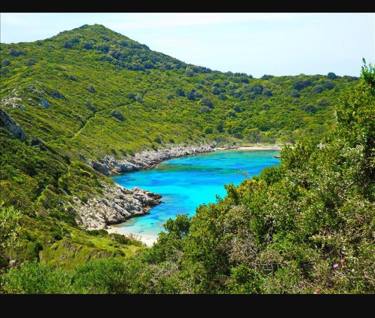 אגיוס גיורגיוס Ninos Corfu Villas מראה חיצוני תמונה